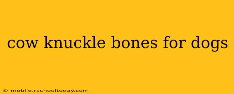 cow knuckle bones for dogs