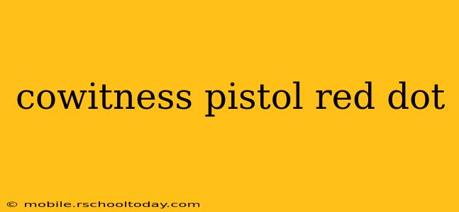 cowitness pistol red dot