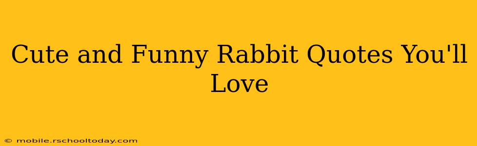 Cute and Funny Rabbit Quotes You'll Love