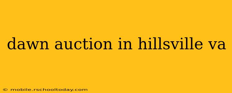dawn auction in hillsville va