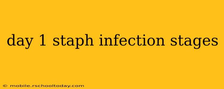 day 1 staph infection stages