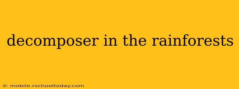 decomposer in the rainforests