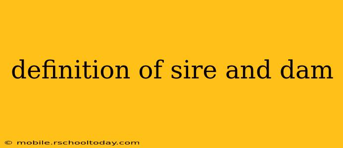 definition of sire and dam