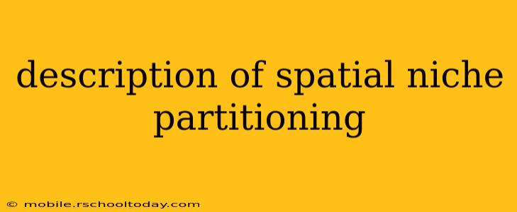 description of spatial niche partitioning