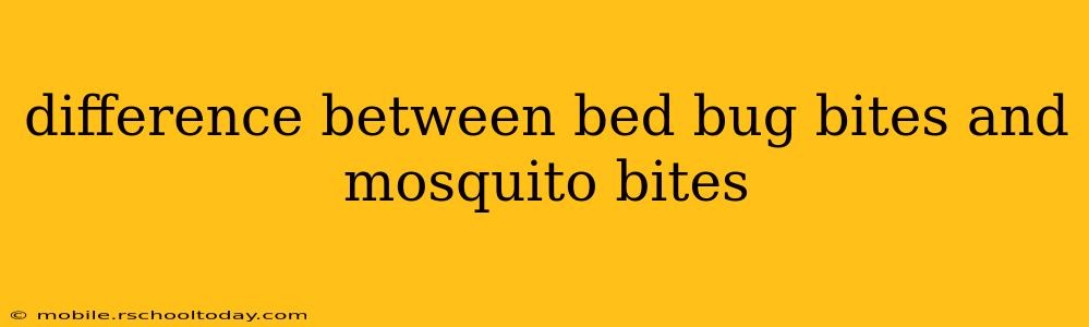 difference between bed bug bites and mosquito bites