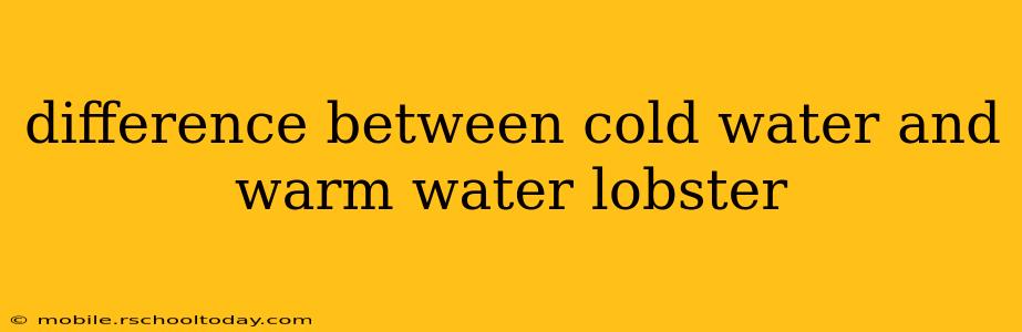 difference between cold water and warm water lobster