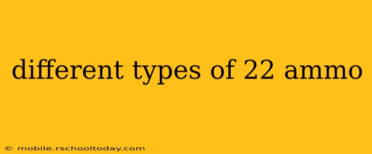 different types of 22 ammo