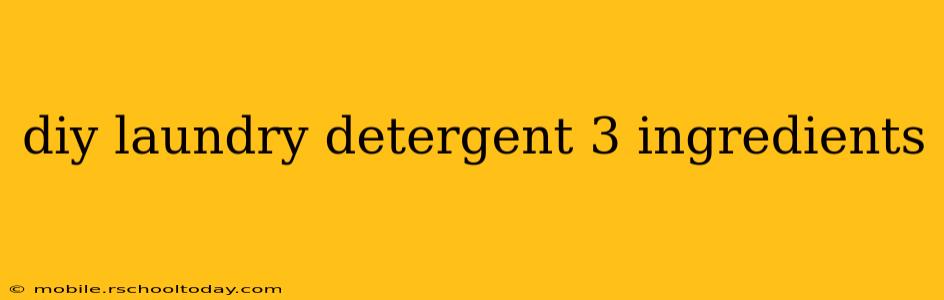 diy laundry detergent 3 ingredients