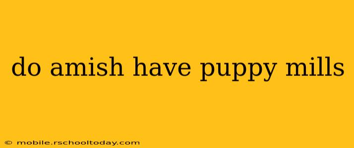 do amish have puppy mills