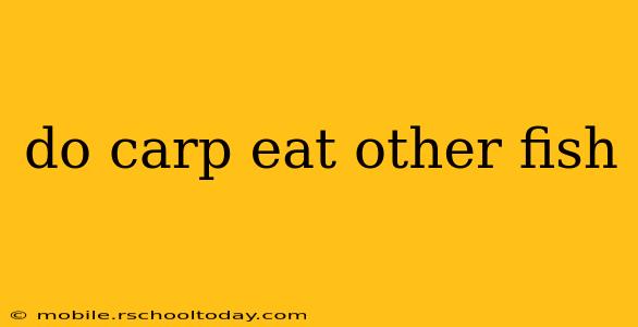 do carp eat other fish