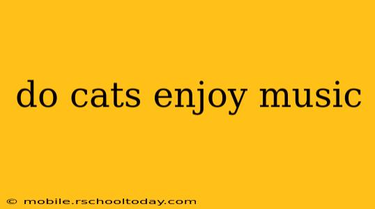 do cats enjoy music
