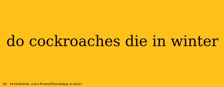 do cockroaches die in winter