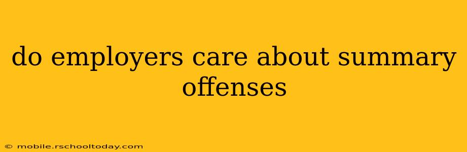 do employers care about summary offenses