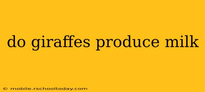 do giraffes produce milk