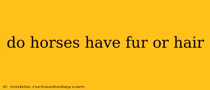 do horses have fur or hair
