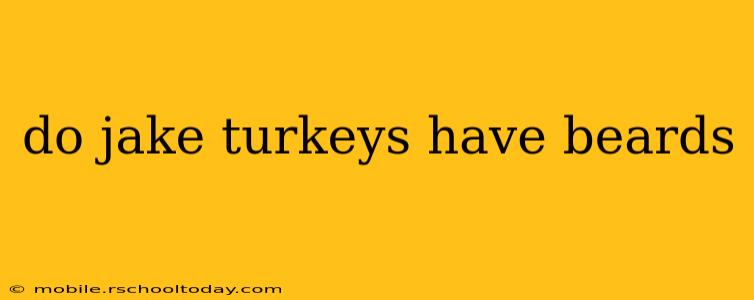 do jake turkeys have beards