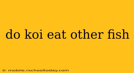 do koi eat other fish