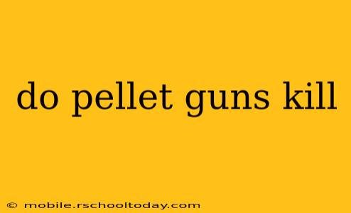 do pellet guns kill