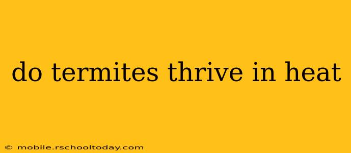 do termites thrive in heat