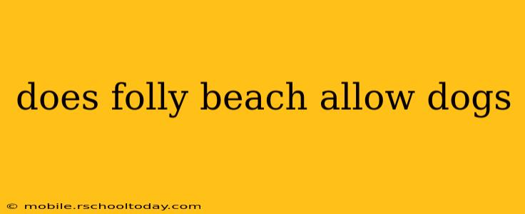 does folly beach allow dogs