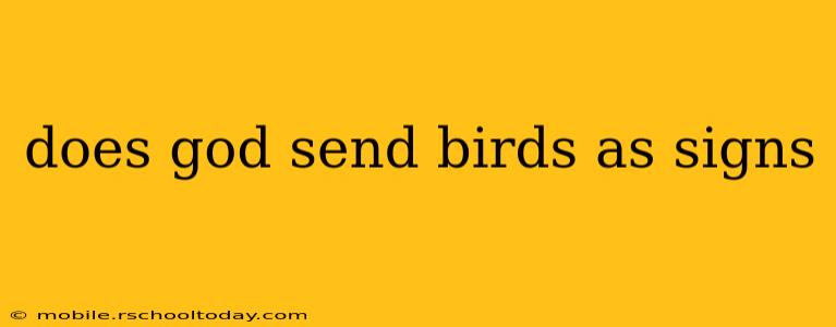 does god send birds as signs