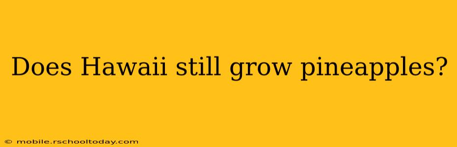 Does Hawaii still grow pineapples?