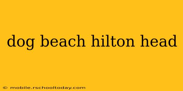 dog beach hilton head