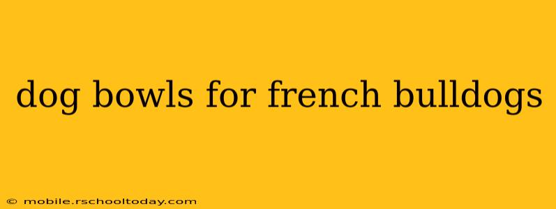 dog bowls for french bulldogs