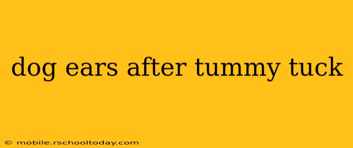 dog ears after tummy tuck
