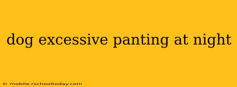 dog excessive panting at night