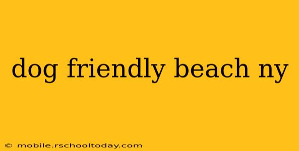 dog friendly beach ny