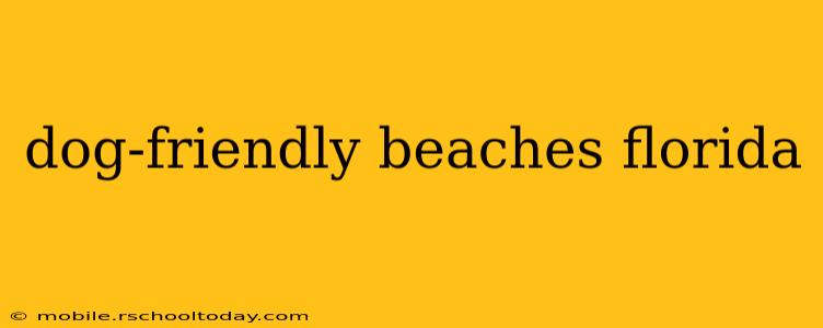 dog-friendly beaches florida