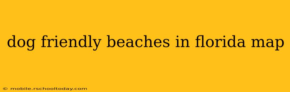 dog friendly beaches in florida map