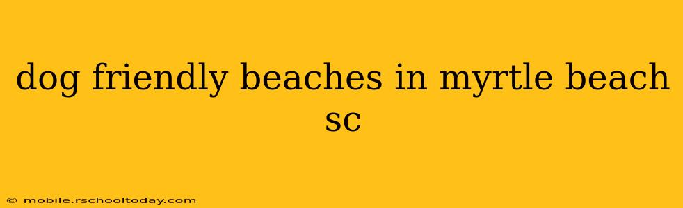 dog friendly beaches in myrtle beach sc