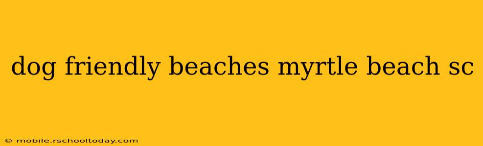 dog friendly beaches myrtle beach sc