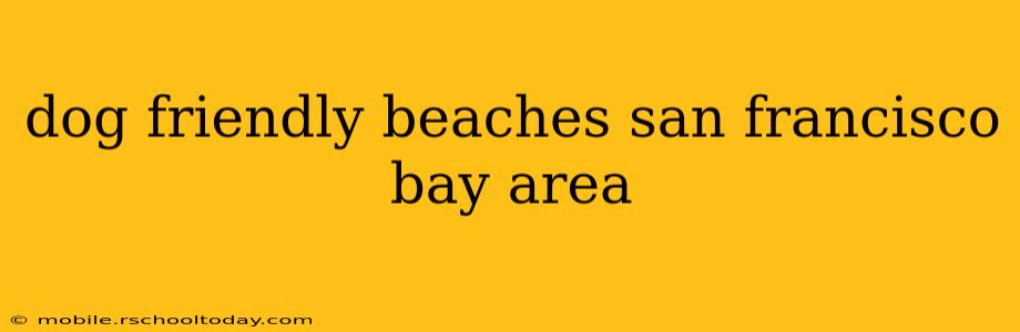 dog friendly beaches san francisco bay area