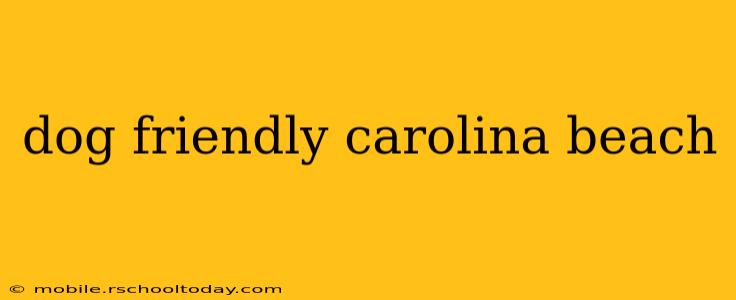dog friendly carolina beach