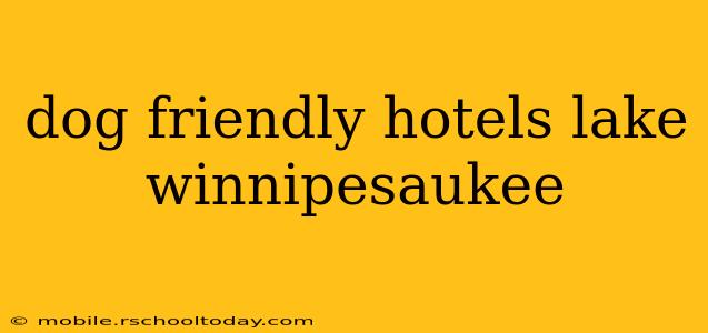 dog friendly hotels lake winnipesaukee