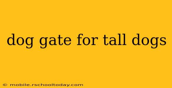 dog gate for tall dogs