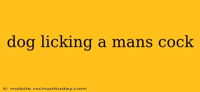 dog licking a mans cock