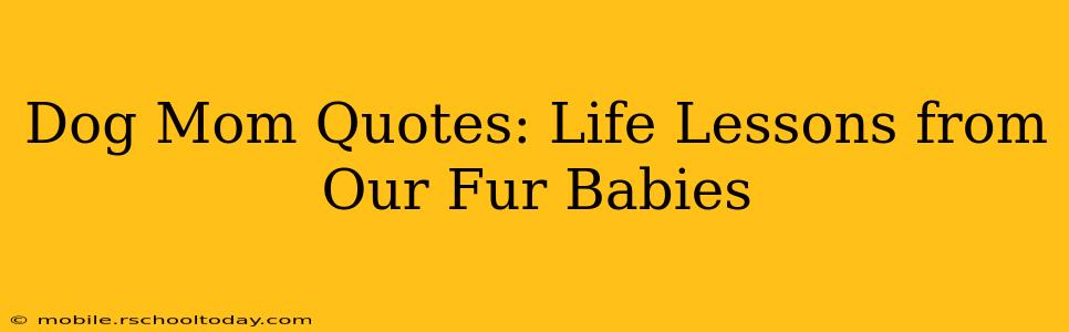 Dog Mom Quotes: Life Lessons from Our Fur Babies