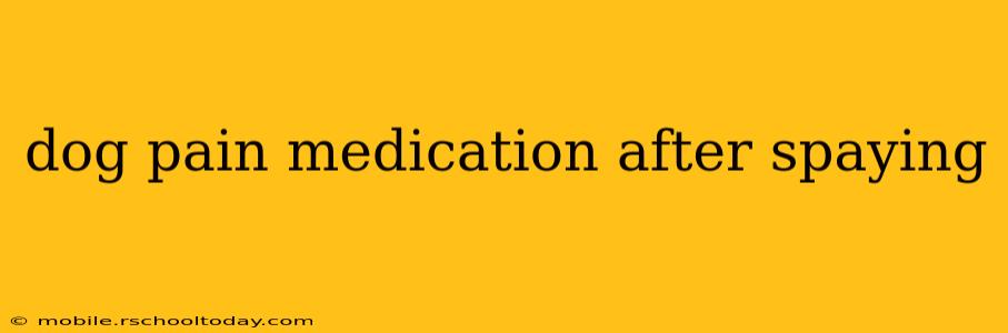 dog pain medication after spaying