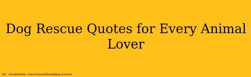 Dog Rescue Quotes for Every Animal Lover