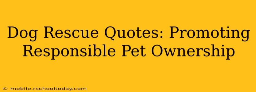 Dog Rescue Quotes: Promoting Responsible Pet Ownership