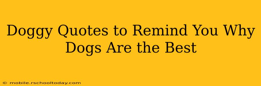 Doggy Quotes to Remind You Why Dogs Are the Best
