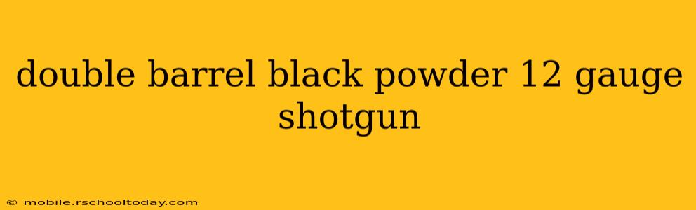 double barrel black powder 12 gauge shotgun
