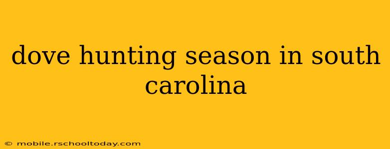 dove hunting season in south carolina