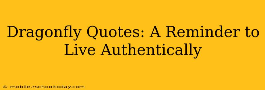Dragonfly Quotes: A Reminder to Live Authentically