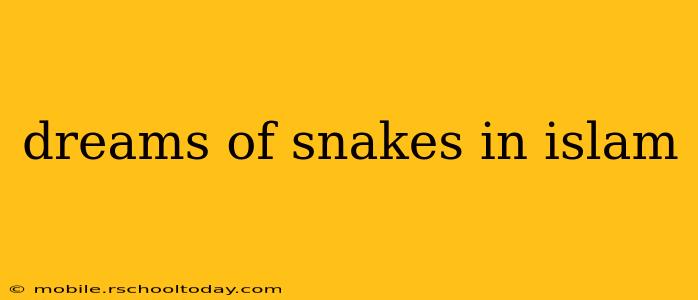 dreams of snakes in islam
