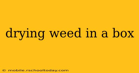 drying weed in a box